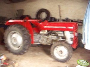 Massey Ferguson 135