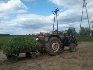 Ursus C-360 + Tur 3B & Przyczepka