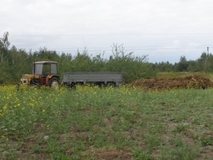 Ursus C-330M & N-237