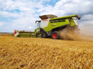 Claas Lexion 780 TT