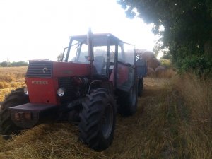 Ursus 1604