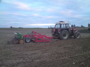 Ursus +Moskit+Amazone