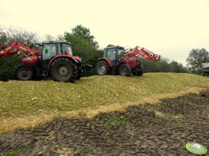 Massey Ferguson 5435  + Massey Ferguson 5455