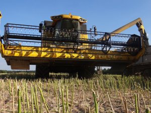 New Holland CSX7070