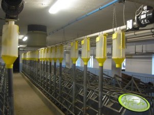 Widoczek z koĹ�ca sektora loch luĹşnch