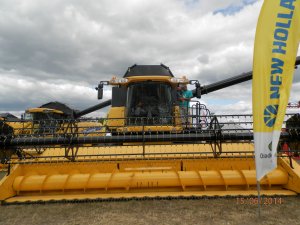 New Holland