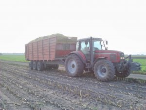 Massey  Ferguson 8250