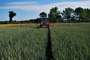 Wladimirec T-25A + TadLen TL 512