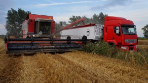 Massey Ferguson Cerea 7278