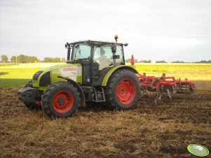 Claas Celtis 436 + Brodnica1