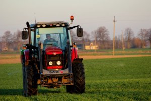 Massey Ferguson 5435