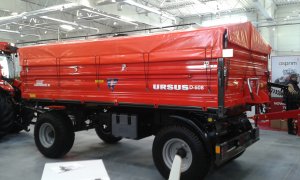 Ursus