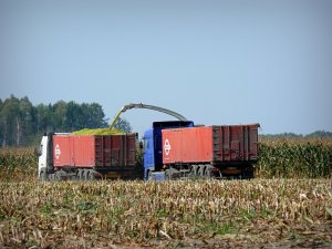 DAF XF95 480 & Volvo FH12