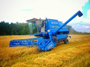 Bizon Z110