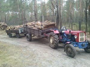 Ursus C-330 z drzewem