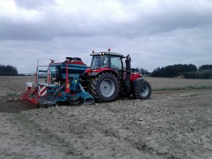 Massey Ferguson + Sulky