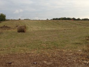 Październikowa słoma