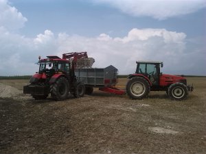 Zetor Proxima 95 & Silver same