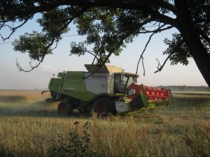 Claas Lexion 660