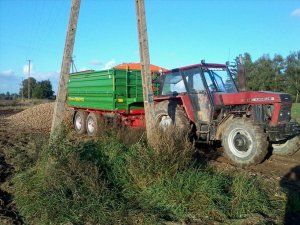 Ursus 1014 i Pronar PT512