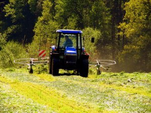 New Holland TD80D