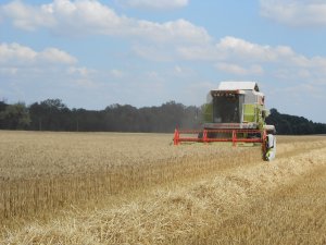 Claas Dominator 98sl Maxi