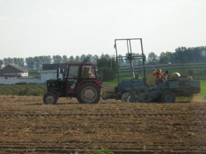 Ursus C-330 & kombajn ziemniaczany Karlik