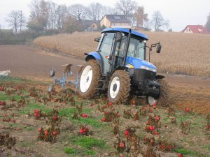 New Holland TD5010