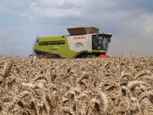 Claas Lexion 780 TT