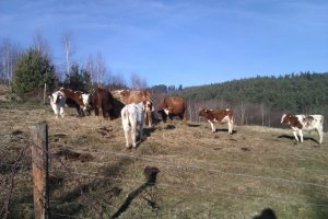 piękny koniec grudnia  2013