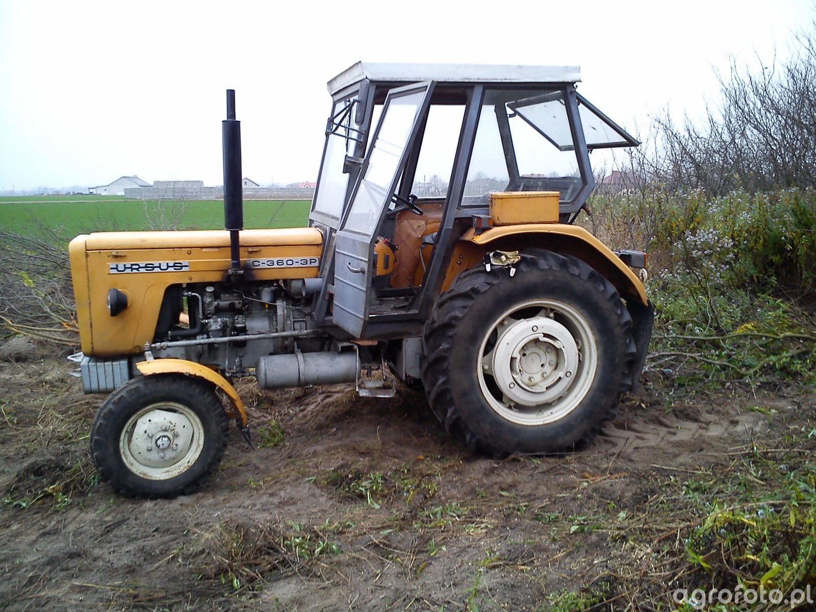 obraz-ciagnik-ursus-c-360-3p-464627-galeria-rolnicza-agrofoto