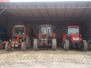 Zetor Forterra 115 & Massey Ferguson 3650 & MTZ 82