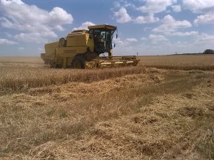 New Holland Clayson 8070