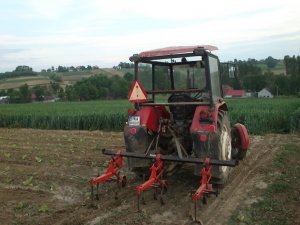 Ursus C-330M + Akpil Piel 3