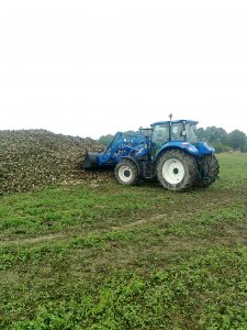 New Holland T5