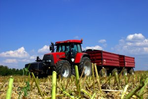 Case CVX 150 2x Wielton 10T