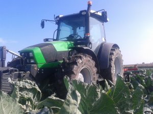 DF Agrofarm 430 profiline + UNIA cut 2,8