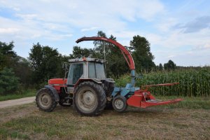 Massey Ferguson 3080 & Mengele SH20