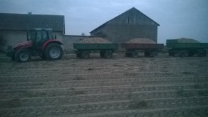 Massey Ferguson 5410 &przyczepy 2 x D-732 & przyczepa D-47