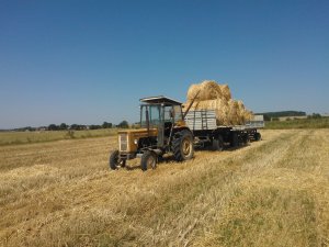 Ursus C-360-3P & Autosan D-55 & Autosan D-732