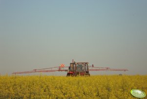 Massey Ferguson 255 + Pilmet