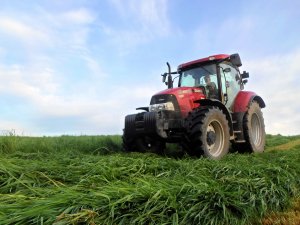 Case Maxxum 115 + Pottinger Novecat 265