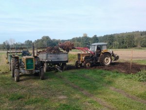 2 x Ursus i 2 x Rozrzutnik