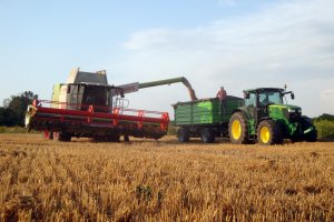 Claas Lexion 650 & John Deere 6210R i Zasław 14T