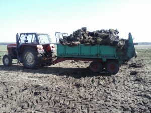 Ursus 1012 + tandem