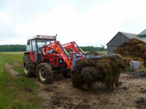 Zetor 7745 +iT1650 + Krokodyl