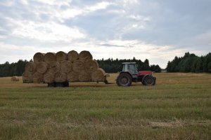 Massey Ferguson 3080 & Laweta