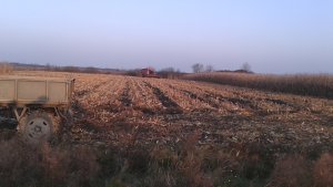 Case IH 2388