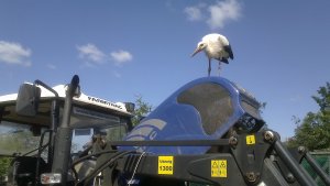 Farmtrac 675DT