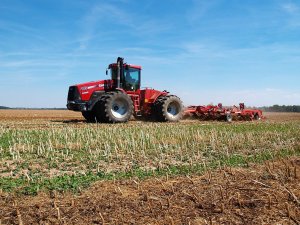 Case IH Steiger 385 + Horsch Tiger 6LT